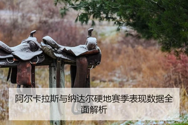 阿尔卡拉斯与纳达尔硬地赛季表现数据全面解析