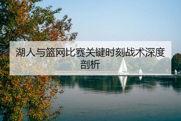 湖人与篮网比赛关键时刻战术深度剖析